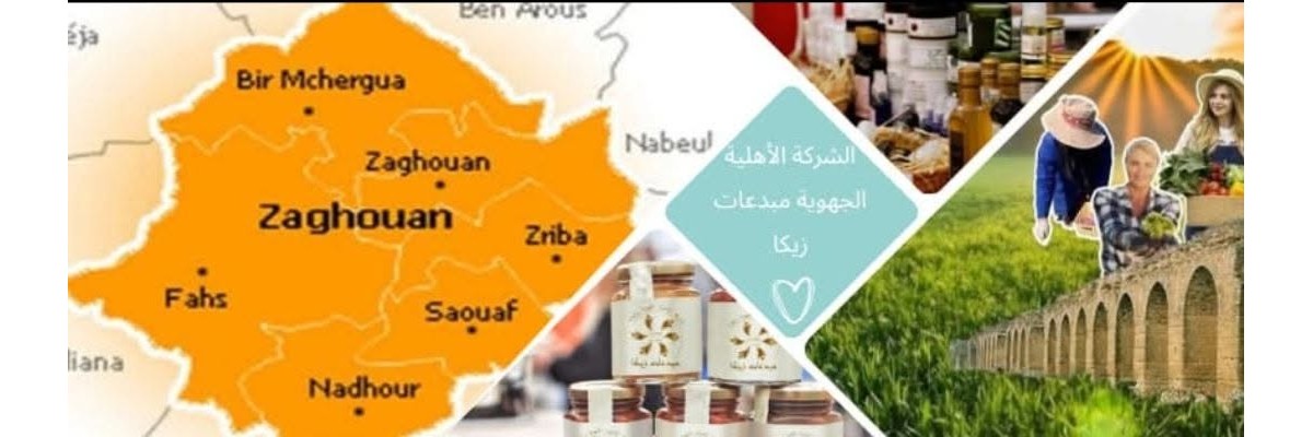 مبدعات زيكا